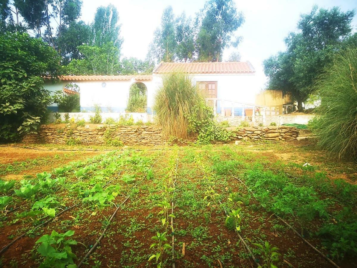 Villa Monte Dos Tres Pocos à Cercal do Alentejo Extérieur photo