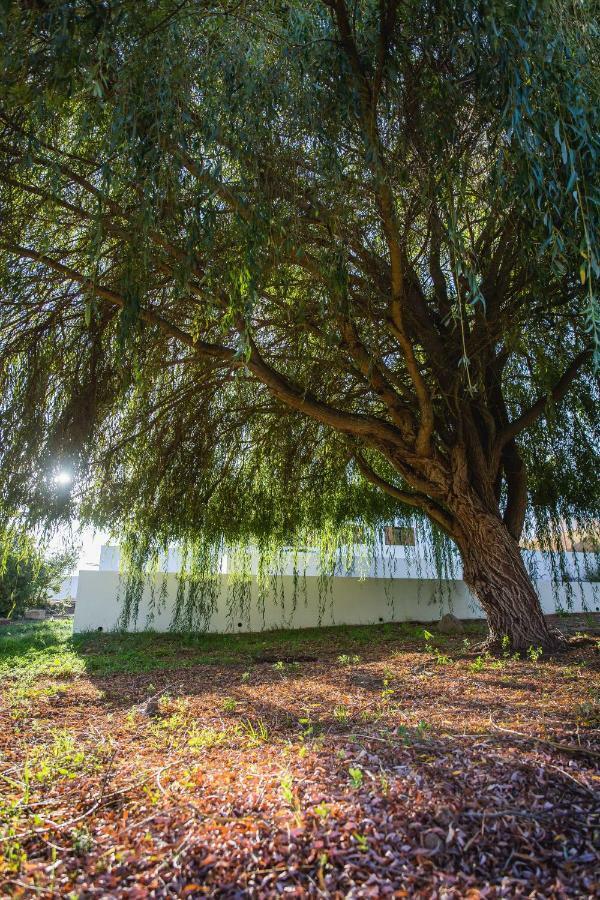 Villa Monte Dos Tres Pocos à Cercal do Alentejo Extérieur photo